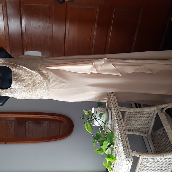 Patra Dresses & Skirts - NWT Patra Gold Brocade Princess Bodice Chiffon Gown US 8